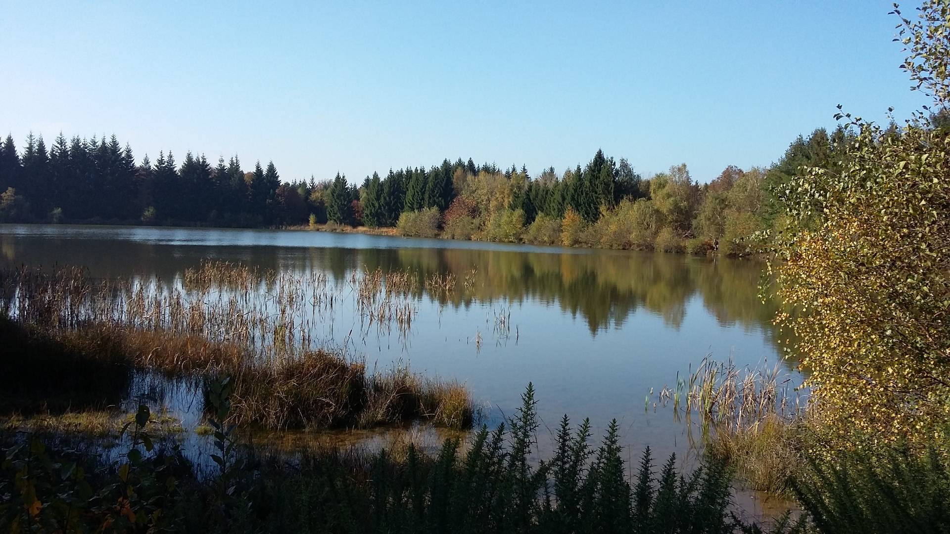 L'Etang de la Digone - Randobrezins - Les chemins de traverse